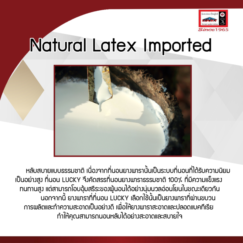 Natural-Latex-Imported
